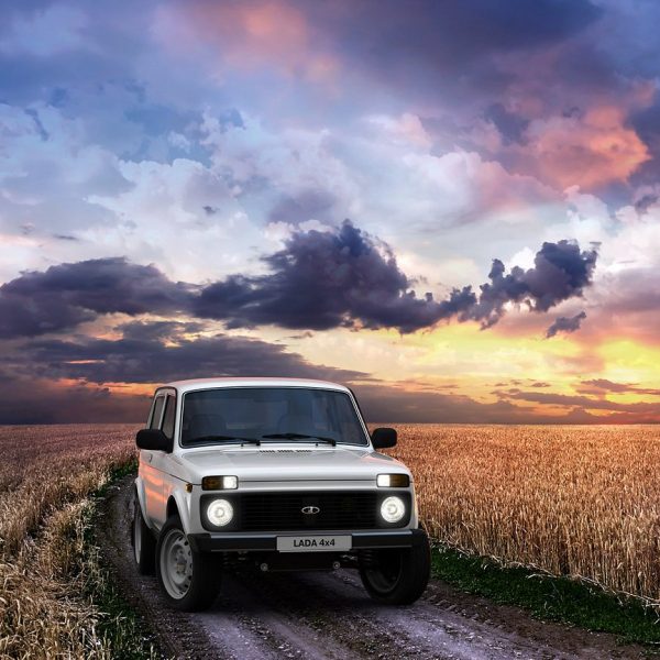 1410256997 niva 10 600x600